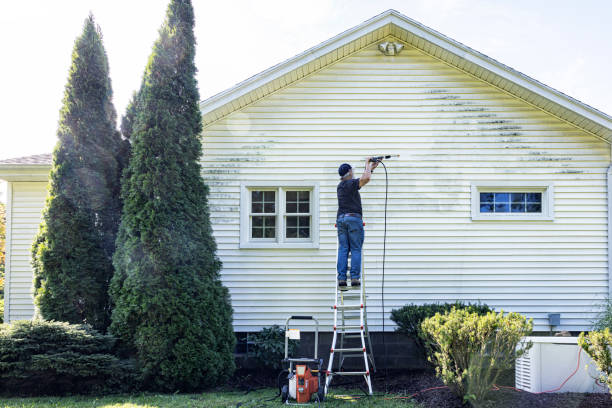 Best Affordable Pressure Washing  in Lowell, IN