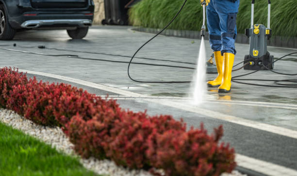 Best Roof Power Washing Services  in Lowell, IN