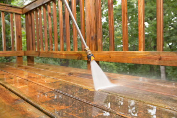 Best Roof Pressure Washing  in Lowell, IN